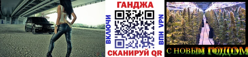 Канабис планчик  Радужный 